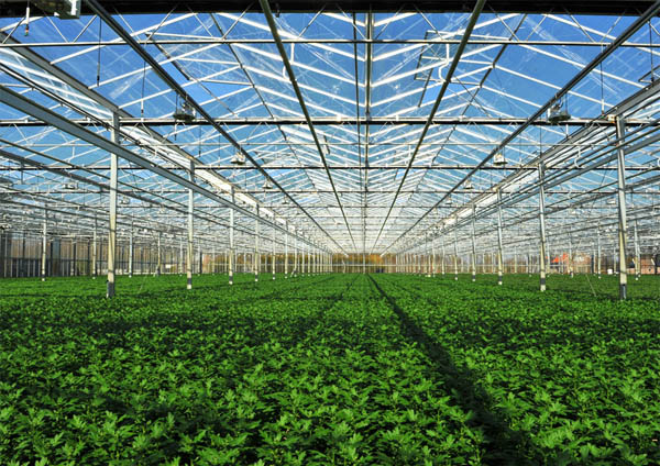 四川憶田園農業(yè)科技有限公司 四川憶田園農業(yè)科技有限公司